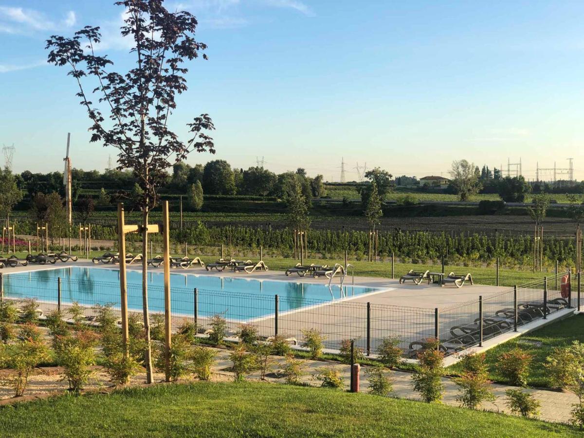 Agricamping Al Grappolo Divino Lazise Exteriér fotografie